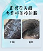 Multi-Effect Scented Shampoo / Conditioner - 4 Types - Lemon (Shampoo) - 400g