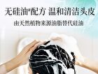 Multi-Effect Scented Shampoo / Conditioner - 4 Types - Lemon (Conditioner) - 400g