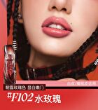 High-Shine Lip Gloss - 6 Colors - #F106 Wine - 3g