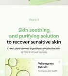 Chosungah Beauty Wonder Bath Super Vegitoks Green Mask - 28g x 1 sheet