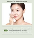 Chosungah Beauty Wonder Bath Heartleaf Calming Serum - 300ml