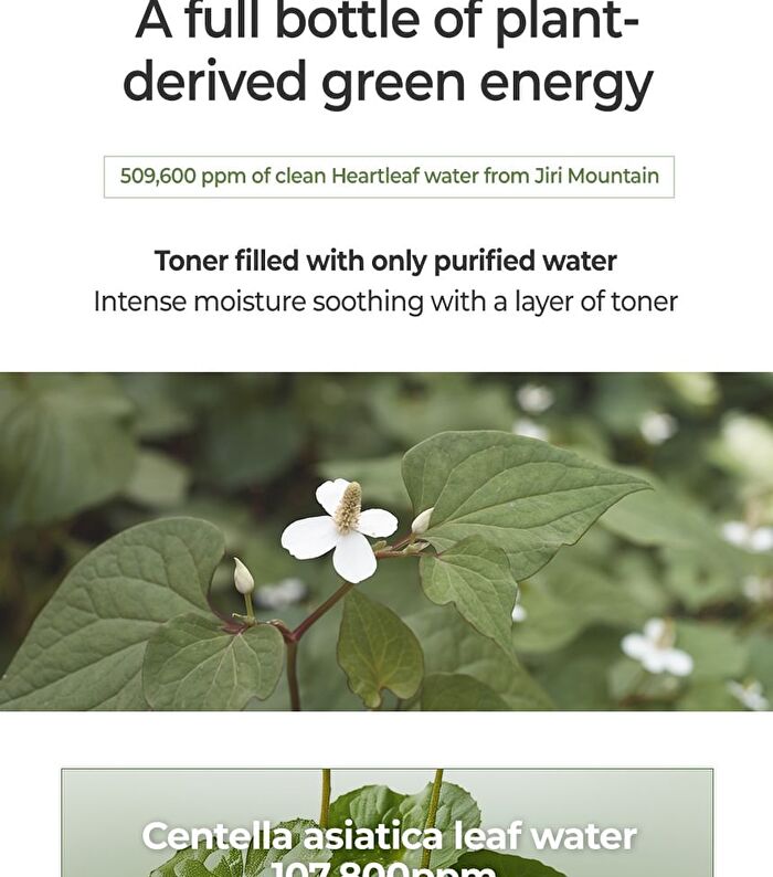 Chosungah Beauty Wonder Bath Heartleaf Calming Serum - 300ml