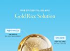Gold Rice Energy Cream - 50ml