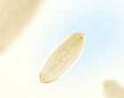 Gold Rice Energy Softening Essence - 80ml