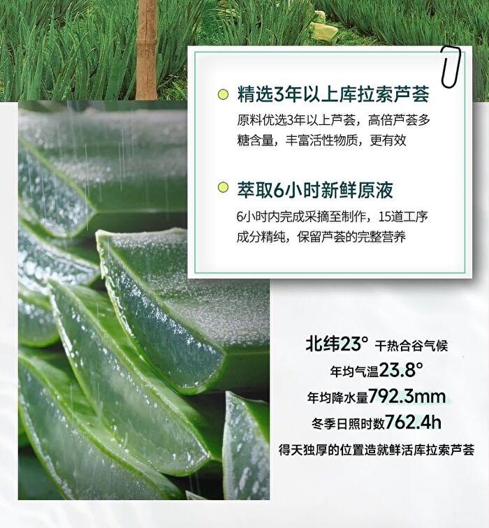 Franic Concentrated Essence Aloe Vera Gel Mini - 60g