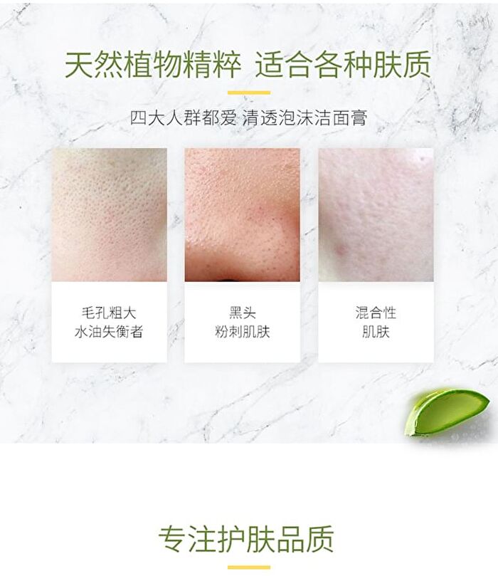 Franic Refreshing Foam Cleanser - 120g