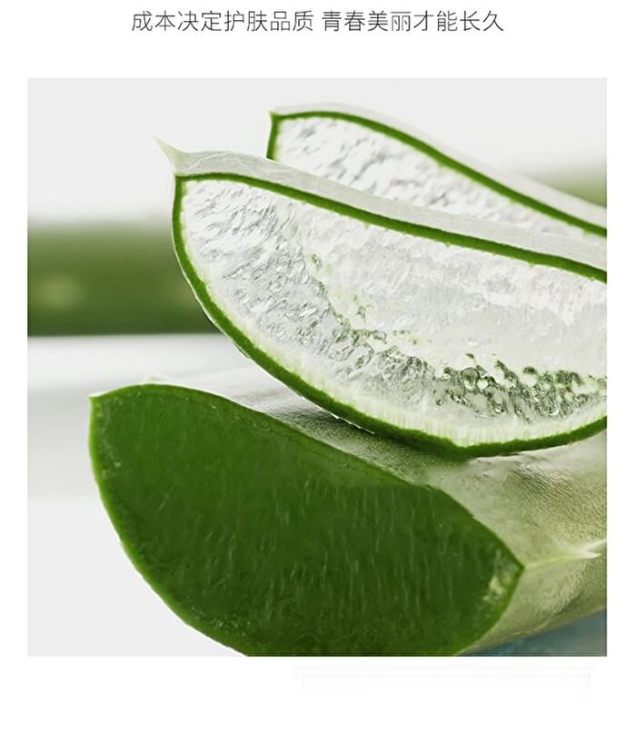 Franic Refreshing Foam Cleanser - 120g