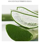 Franic Refreshing Foam Cleanser - 120g