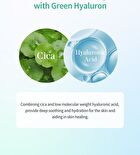 Hedera Helix Green Hyaluron 6s Soothing Cream - 2026 Version - 50g