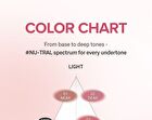 Nu Blur Tint - 10 Colors - #04 Figray