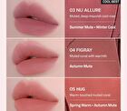 Nu Blur Tint - 10 Colors - #04 Figray