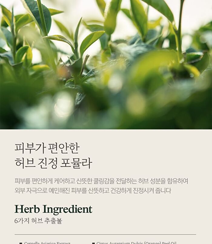 Nard Tea Tree Blemish Calming Moisturizer - 50ml