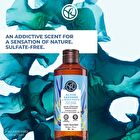 Wild Algae & Sea Fennel Shower Gel - Refill - 600ml