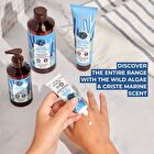 Wild Algae & Sea Fennel Shower Gel - Refill - 600ml