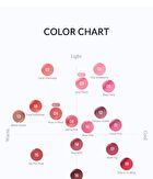 peripera Mood Glowy Tint - 22 Colors - #-02 Iron Will