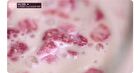 Protein Shake - 6 Types - Chocolate