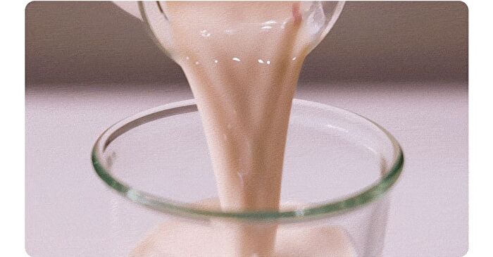 Protein Shake - 6 Types - Chocolate