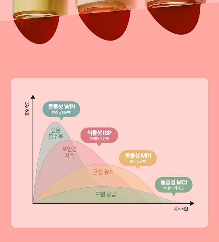 Protein Shake - 6 Types - Chocolate