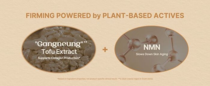 Soy Nut Protein Tofu Pudding Cream - 50ml