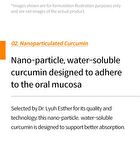 Esther Formula Lyuh Esther Curcumin Direct - 320mg x 30 films