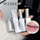 Moisturizing Lip Balm - 3g