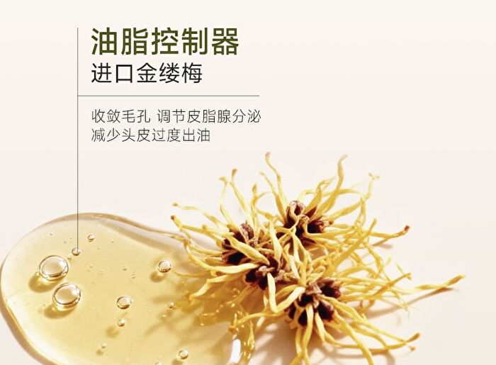 Watercome Oil-Control Fluffy No-Rinse Shampoo - Citrus - 80ml