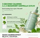 Aprilskin A.C.E Mugwort Centella Calming Serum - 110g