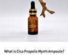 Cica Propolis Myrrh Ampoule - 2026 Version - 15ml
