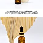 Cica Propolis Myrrh Ampoule - 2026 Version - 15ml