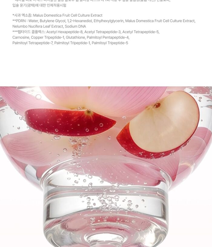 Phyto EX PDRN Melting Glow Lip Sleeping Mask - 11g