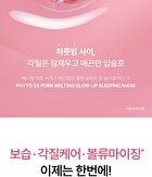 Phyto EX PDRN Melting Glow Lip Sleeping Mask - 11g