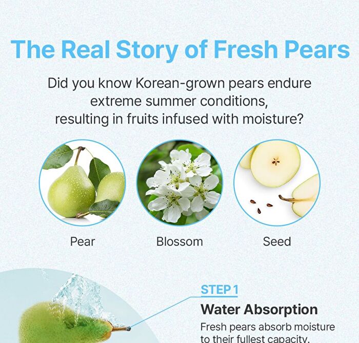 Jung Saem Mool BeginS Aqua Recharging Cream - 50ml