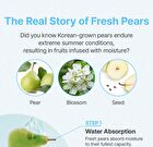 Jung Saem Mool BeginS Aqua Pear Sherbet Cleanser - 90ml