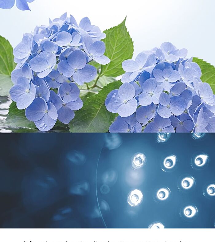 Jung Saem Mool BeginS Blue Hydrangea Hyaluronic Acid Moisturizing Toner - 300ml