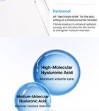 Jung Saem Mool BeginS Blue Hydrangea Hyaluronic Acid Moisturizing Toner - 300ml