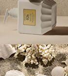 Bouquet Garni Niche Perfume Body Wash - 2 Types - #026