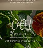 Bouquet Garni Niche Perfume Body Lotion - 2 Types - #026