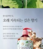Bouquet Garni Vita Collagen Perfume Body Wash - 3 Types - Wedding Bouquet