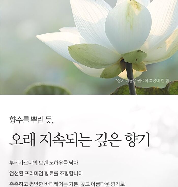 Bouquet Garni Vita Collagen Perfume Body Lotion White Musk - 750ml