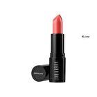 Absolute  Satin Lipstick - 6 Colors - #Plum Rose - 4g