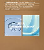 Snail Tranexamic Acid Repair Cream - 50g