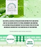 Hyaluronic Acid One Shot Ampoule Mask Sheet - 5 Types - #Vitamin