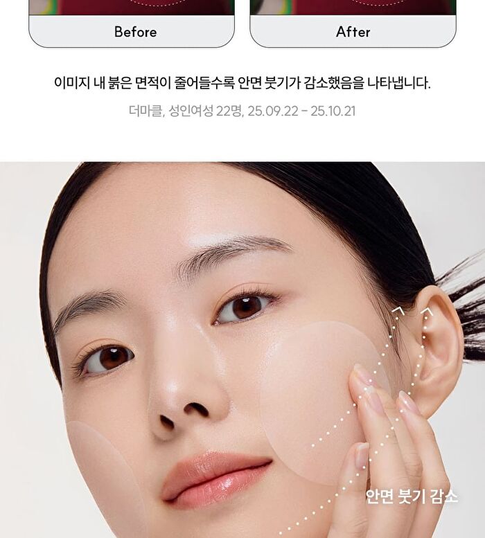 Standard Seoul Hydrating V-Fit Dual Jelly Pad - 60 Pads