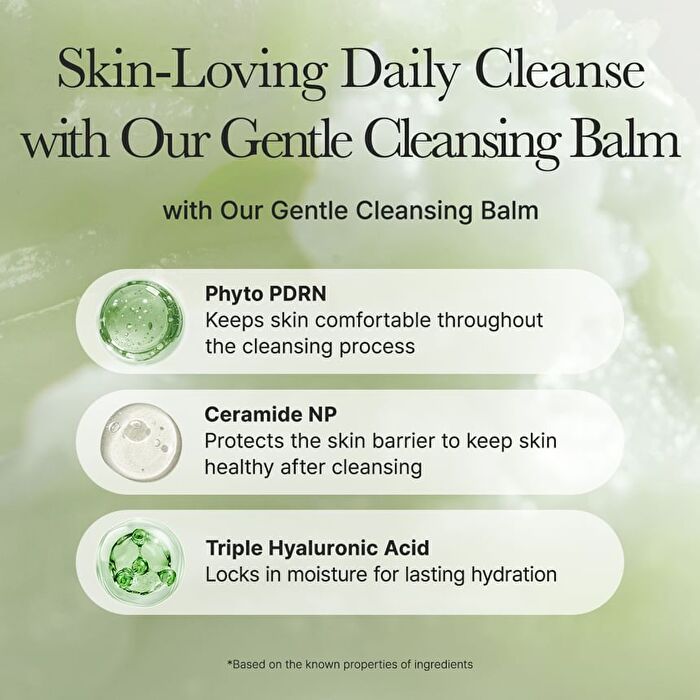 Pore Melt Phyto PDRN Cleansing Balm - 100ml
