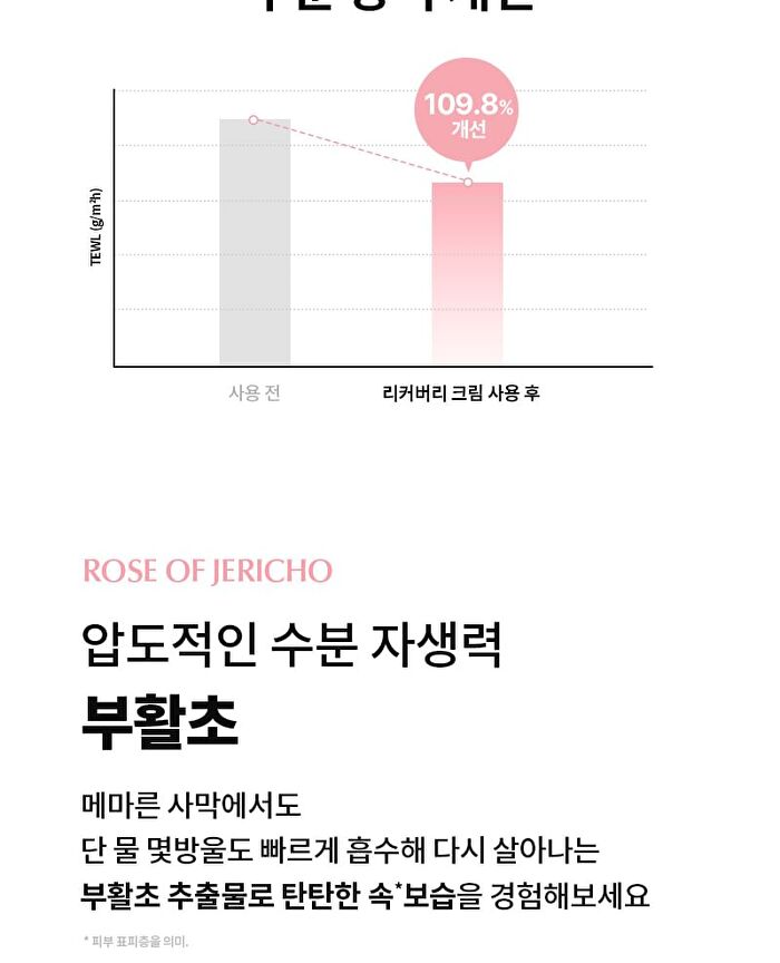 Re:dence Tone & Spot Recovery Cream - 2026 Version - 80ml