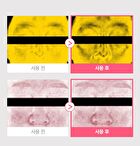 Re:dence Tone & Spot Perfect Glow Mask Set - 25ml x 10 sheets