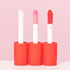 Berry Plump Plumping Lip Gloss - 8 Colors - Strawberry Kiss - 4g