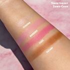 Cosmetics Manga Collection Face Palette - 4 Types - Rebel Rudeko - 11.2g