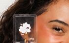 The Glow Up! Matte & Shimmer Blush Duo - 6 Colors - Pink Aura - 6.8g