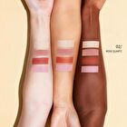 Palace Identity Royal Bloom Eyeshadow - 4 Types - #03 Ruby
